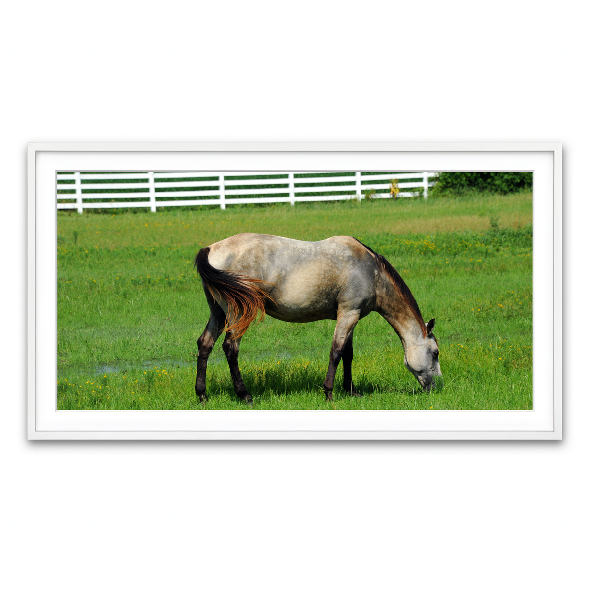 Framed Print 2x1 White