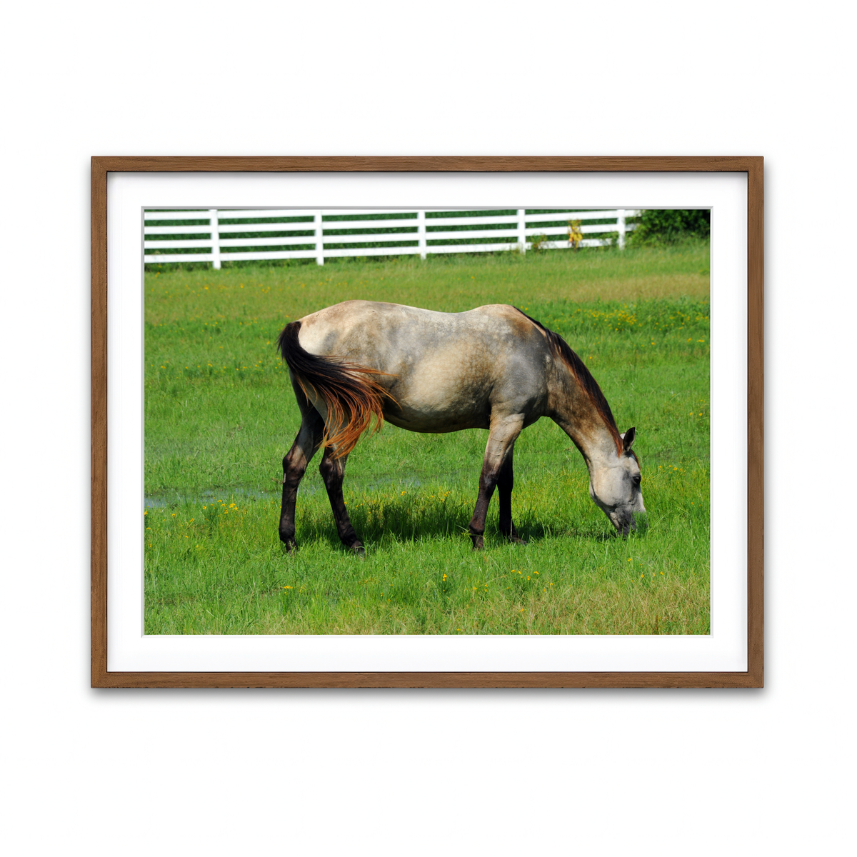 Framed Print 4x3 Walnut