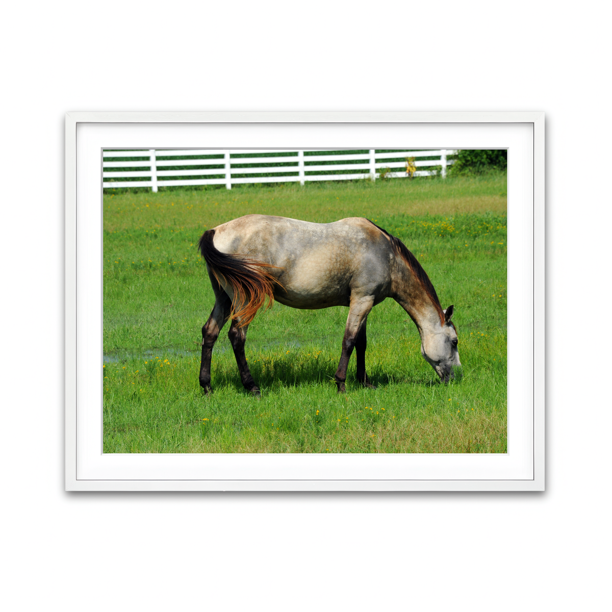 Framed Print 4x3 White