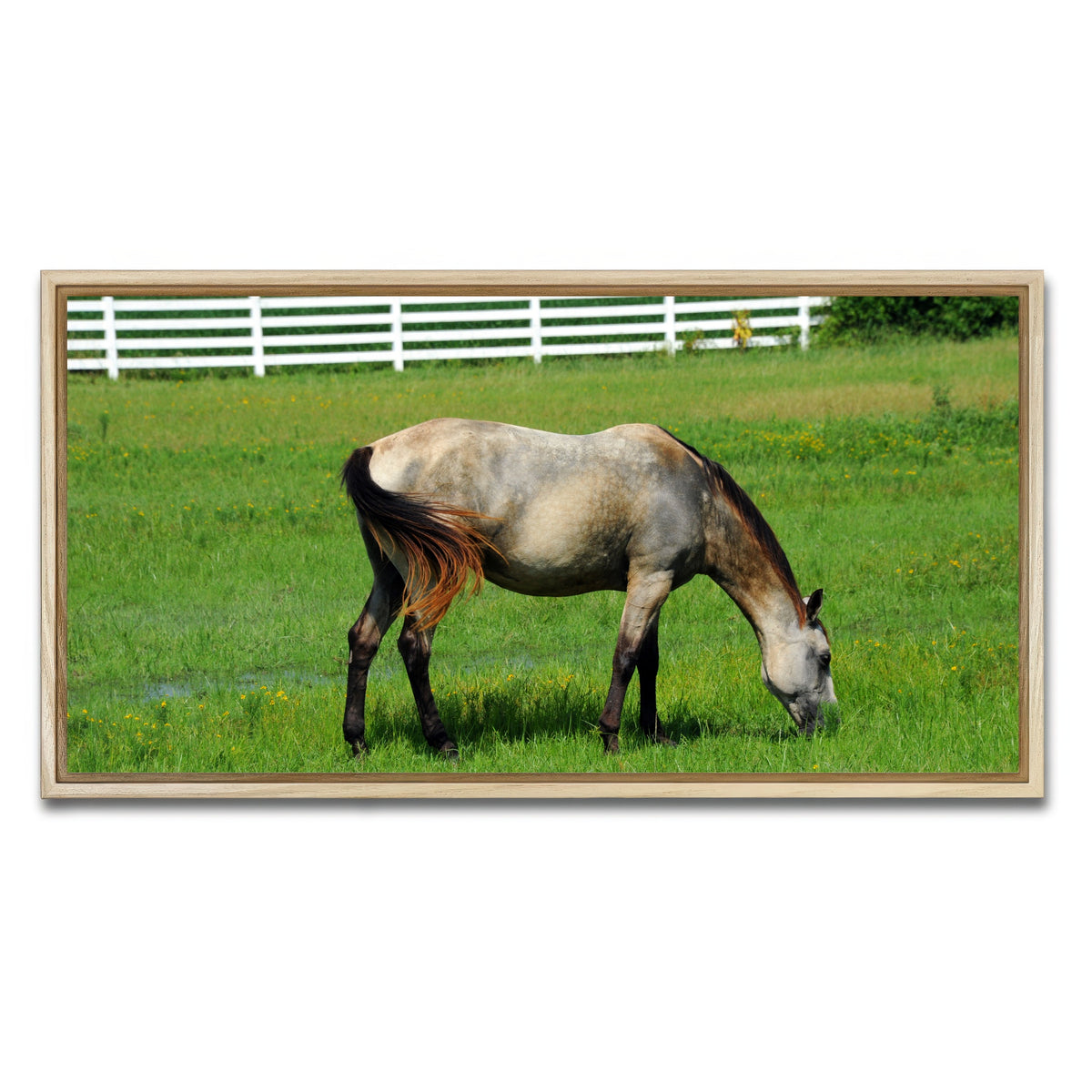 AUTO-MOCKUP WHITE | Arkansas Horse Grazing | 1 Piece | Natural Framed Canvas | group=2x1