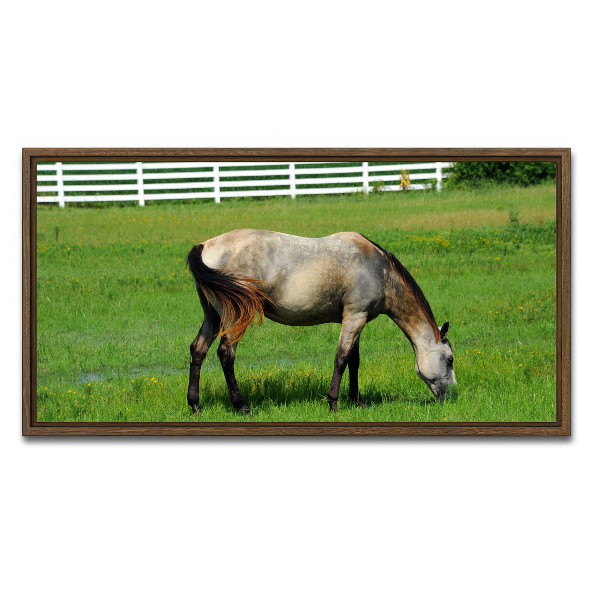 AUTO-MOCKUP WHITE | Arkansas Horse Grazing | 1 Piece | Walnut Framed Canvas | group=2x1