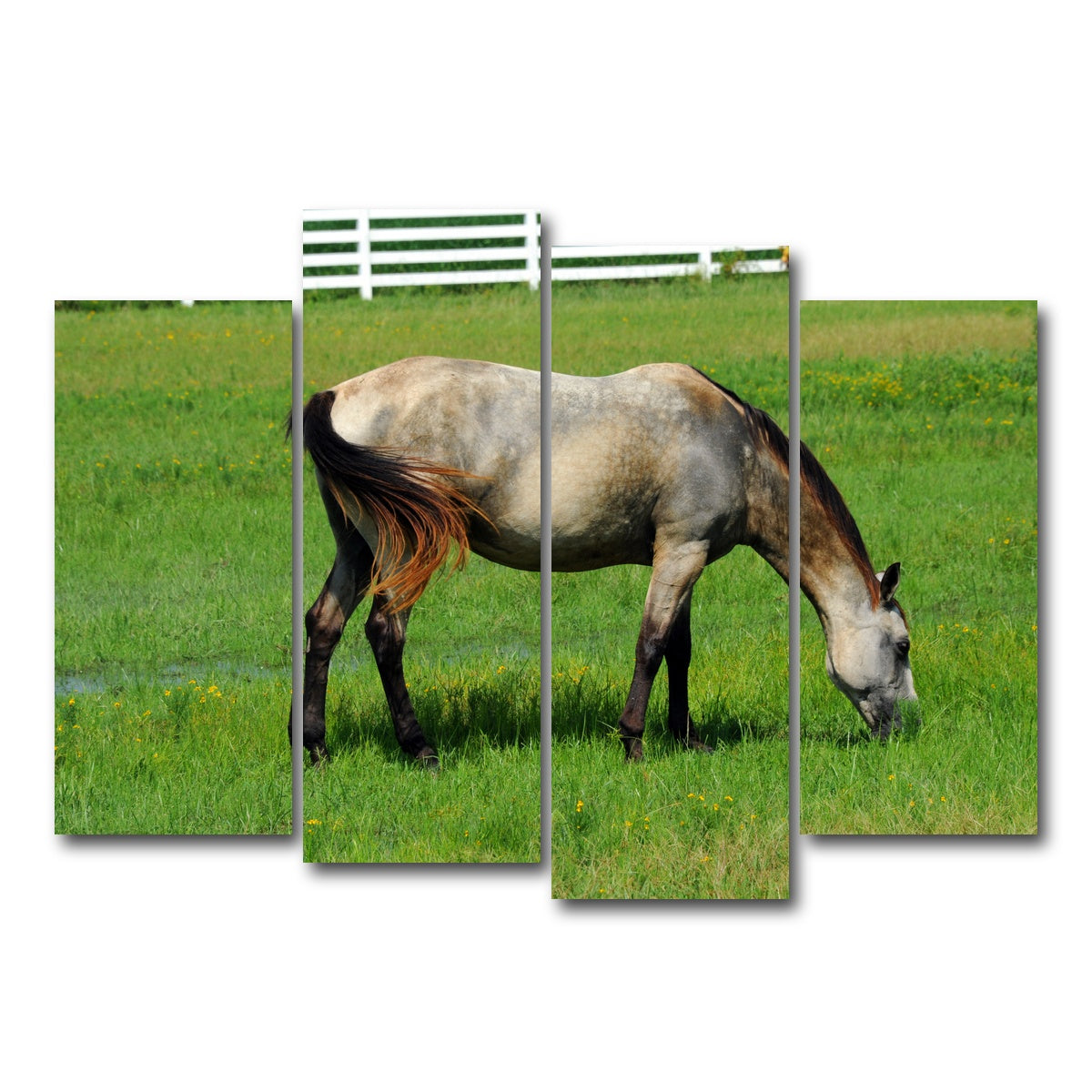 AUTO-MOCKUP WHITE | Arkansas Horse Grazing | 4 Piece | Gallery Wrap Canvas | group=4_normal