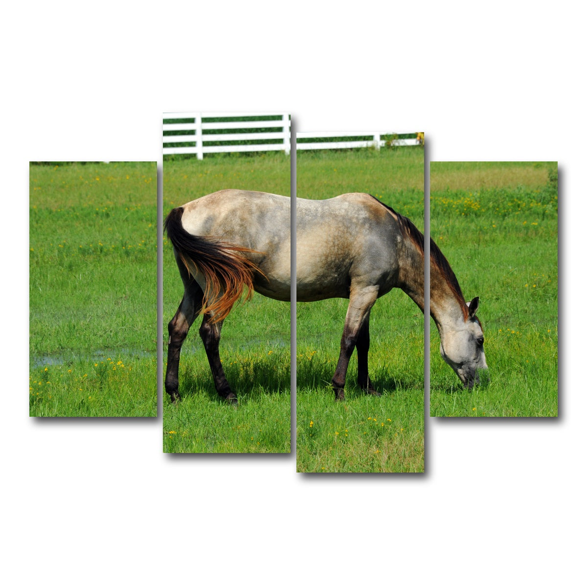 AUTO-MOCKUP WHITE | Arkansas Horse Grazing | 4 Piece | Gallery Wrap Canvas | group=4_short