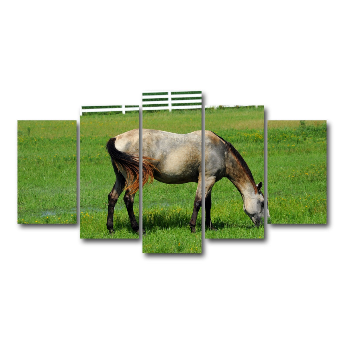 AUTO-MOCKUP WHITE | Arkansas Horse Grazing | 5 Piece | Gallery Wrap Canvas | group=5_normal
