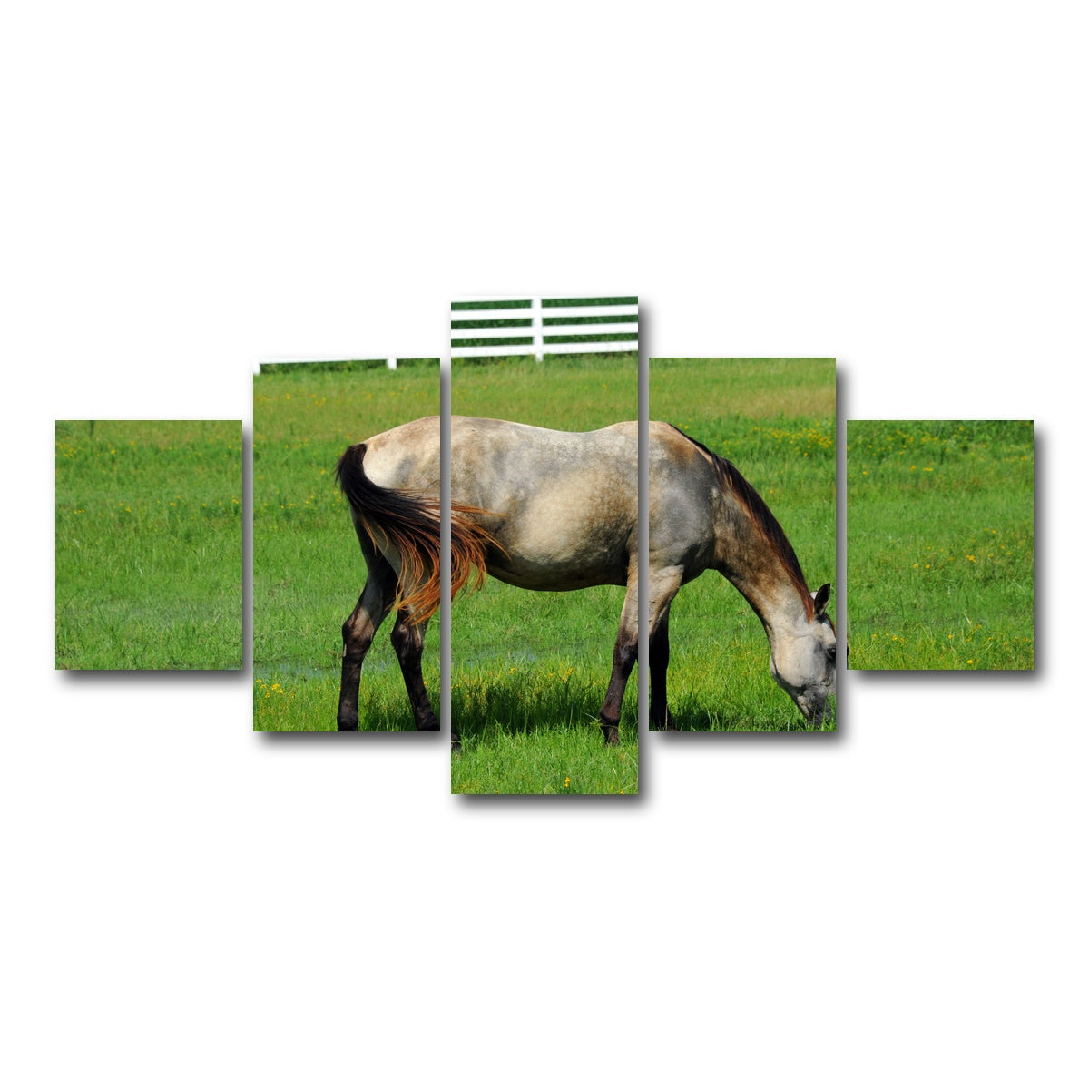 AUTO-MOCKUP WHITE | Arkansas Horse Grazing | 5 Piece | Gallery Wrap Canvas | group=5_short