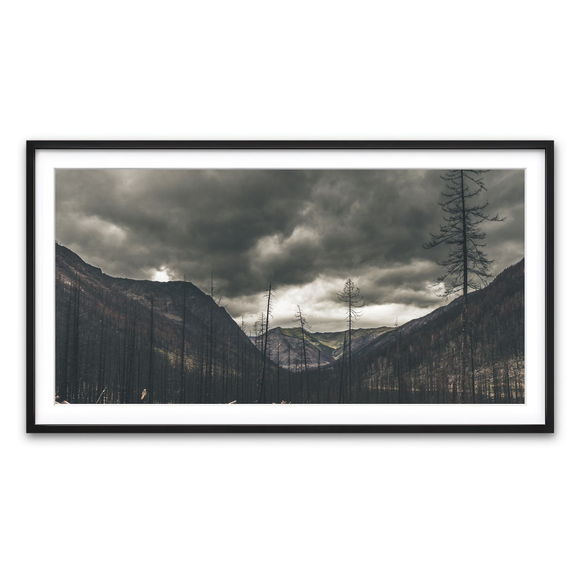 Framed Print 2x1 Black