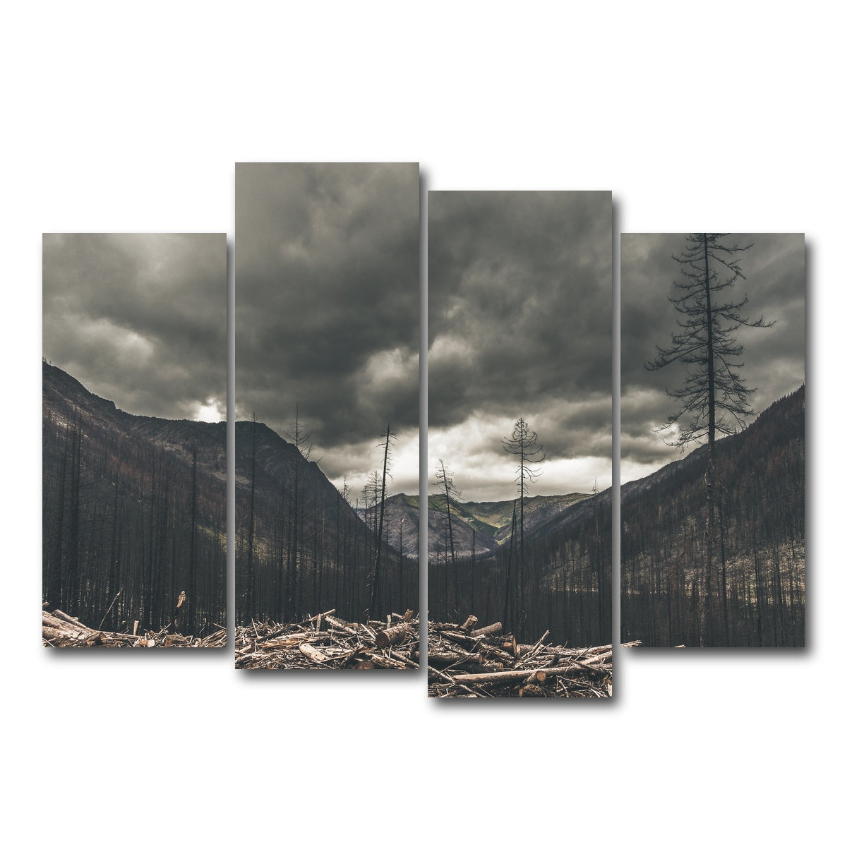 AUTO-MOCKUP WHITE | Ash and Clouds | 4 Piece | Gallery Wrap Canvas | group=4_normal