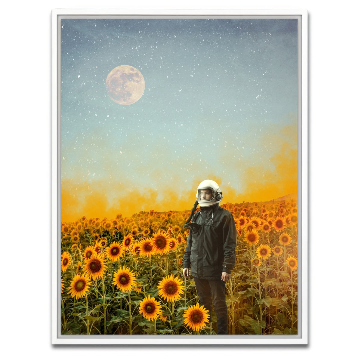 AUTO-MOCKUP WHITE | Astro Garden | 1 Piece | White Framed Canvas | group=3x4