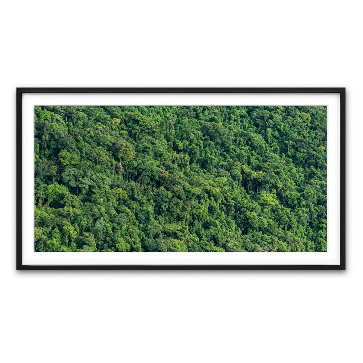 Framed Print 2x1 Black