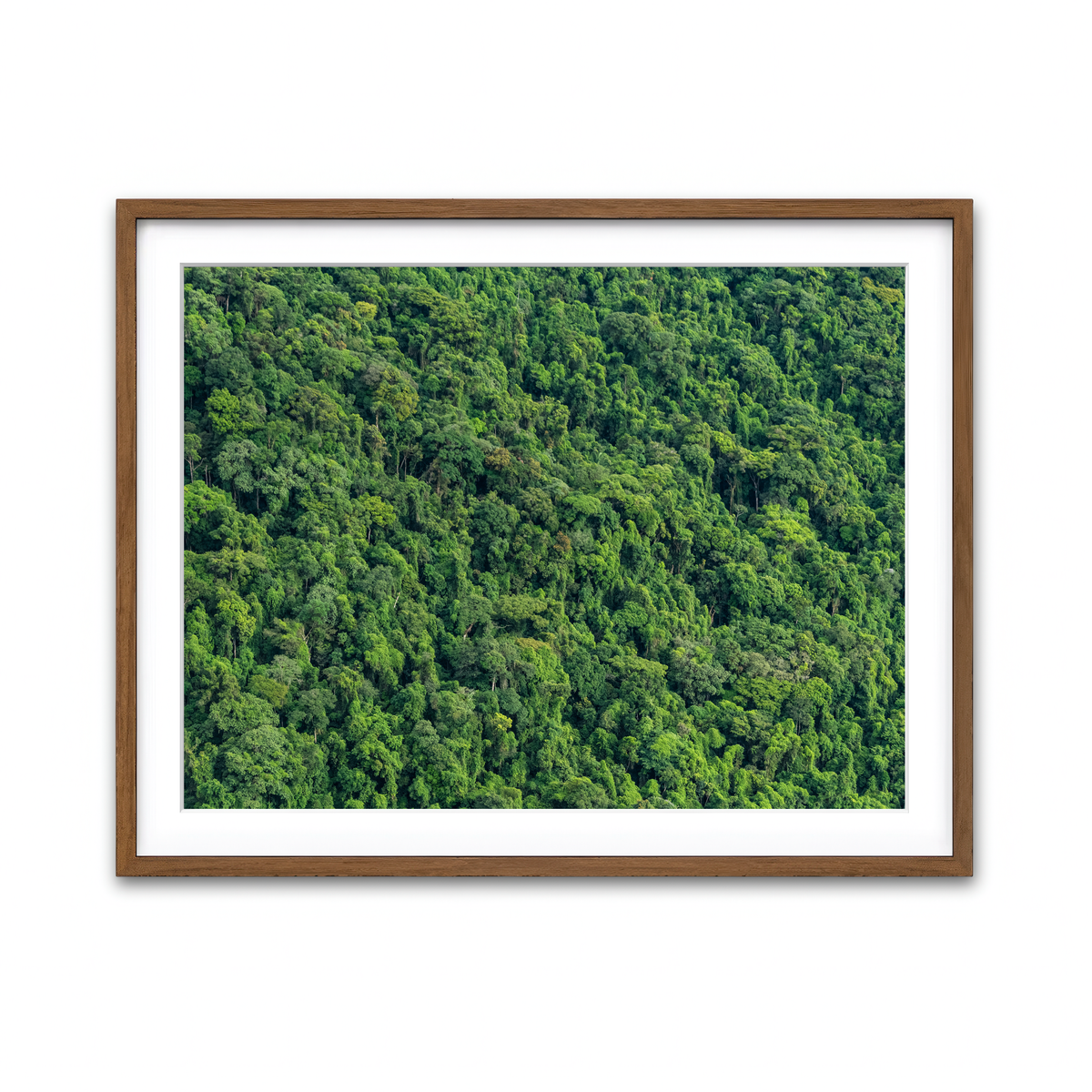 Framed Print 4x3 Walnut