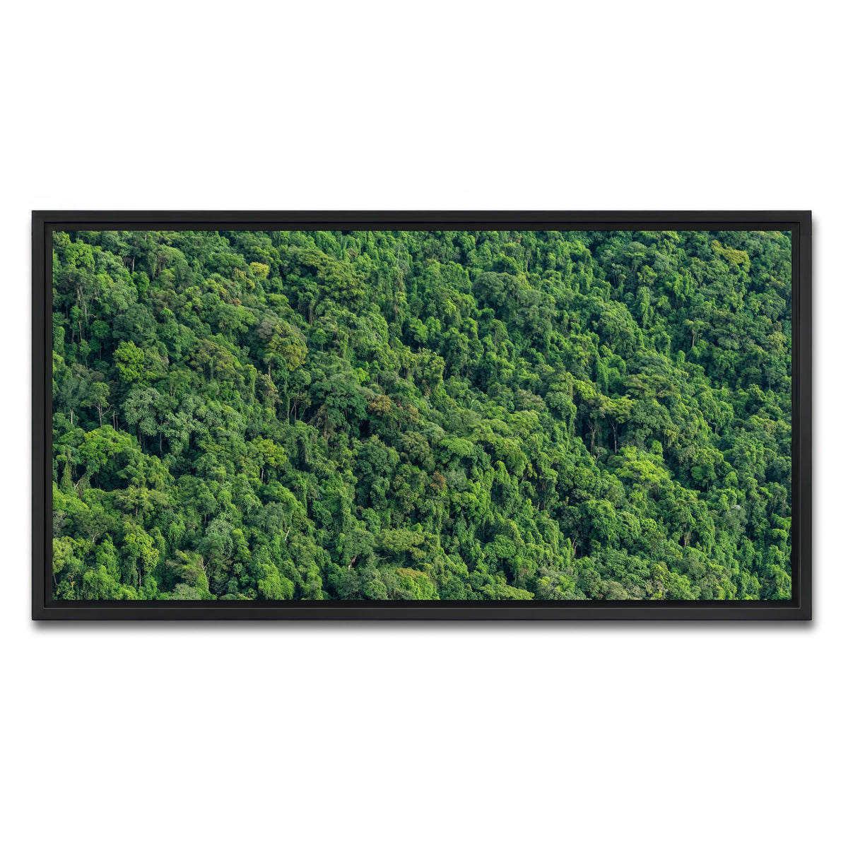 AUTO-MOCKUP WHITE | Atlantic Forest | 1 Piece | Black Framed Canvas | group=2x1