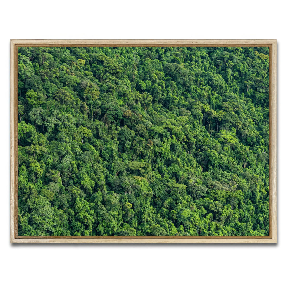 AUTO-MOCKUP WHITE | Atlantic Forest | 1 Piece | Natural Framed Canvas | group=4x3