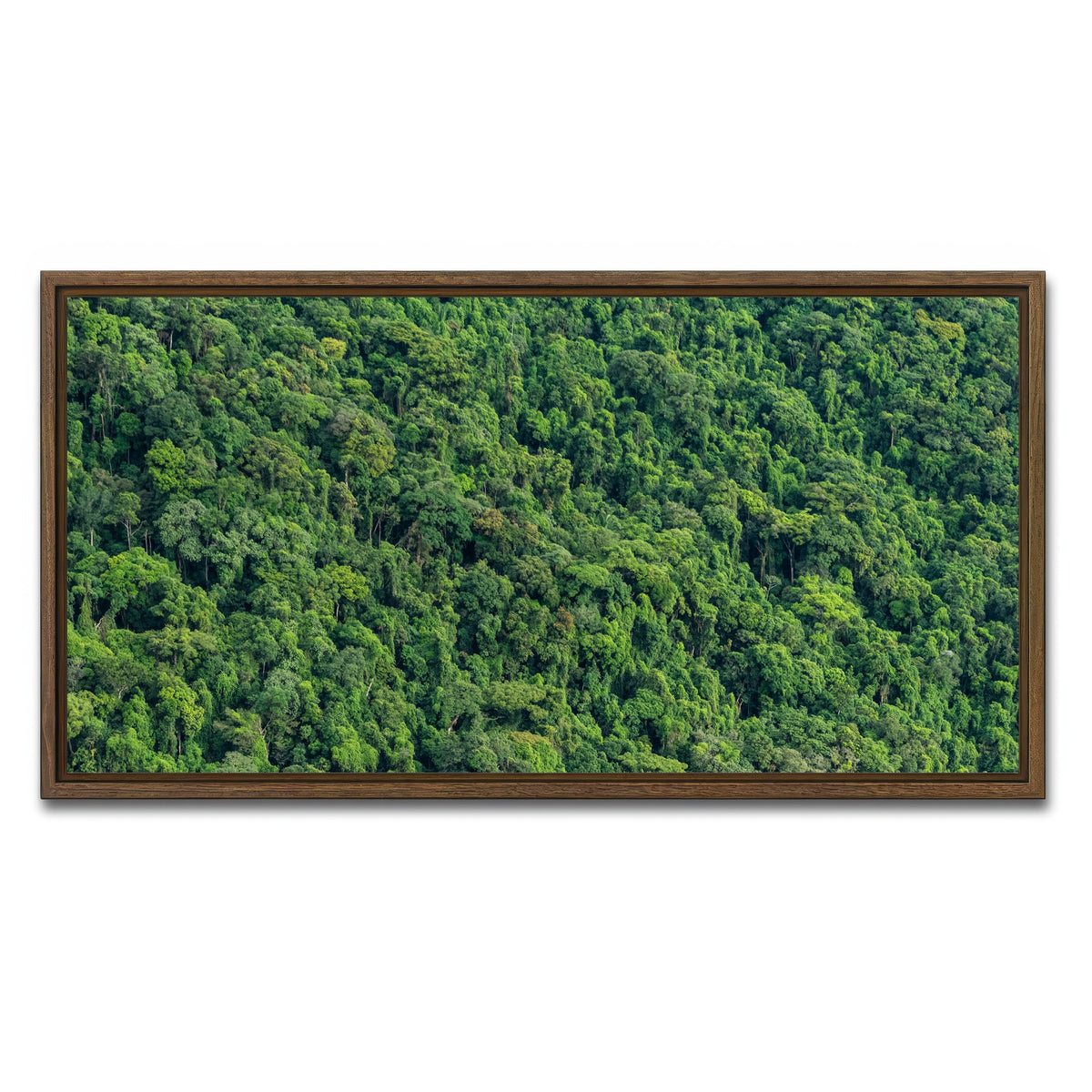 AUTO-MOCKUP WHITE | Atlantic Forest | 1 Piece | Walnut Framed Canvas | group=2x1