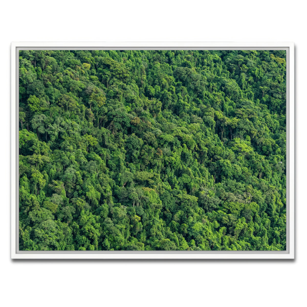 AUTO-MOCKUP WHITE | Atlantic Forest | 1 Piece | White Framed Canvas | group=4x3