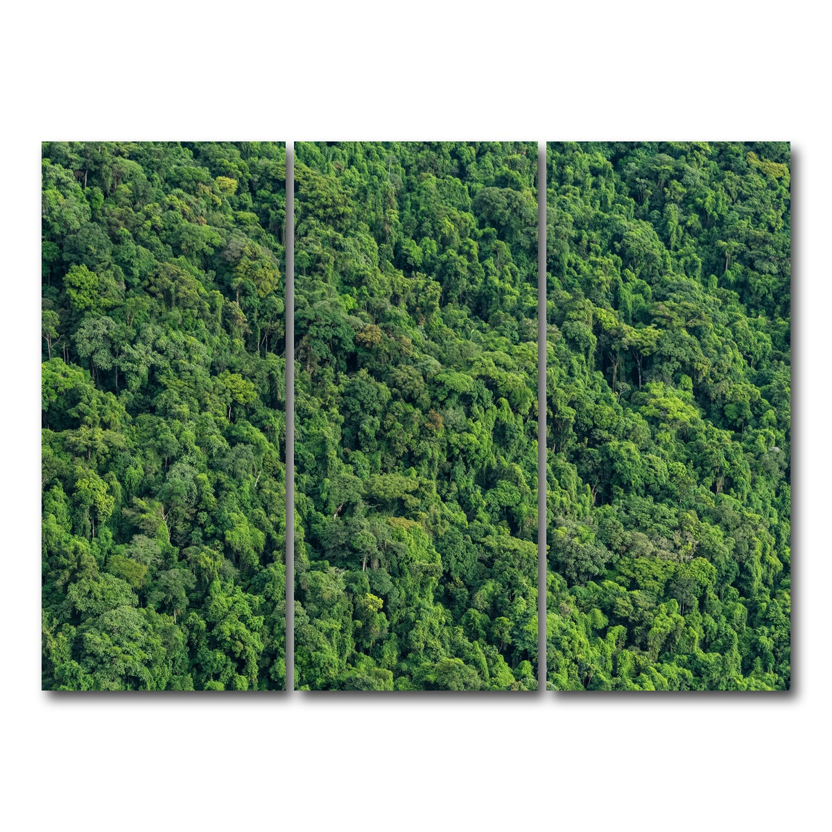 AUTO-MOCKUP WHITE | Atlantic Forest | 3 Piece | Gallery Wrap Canvas | group=8x18