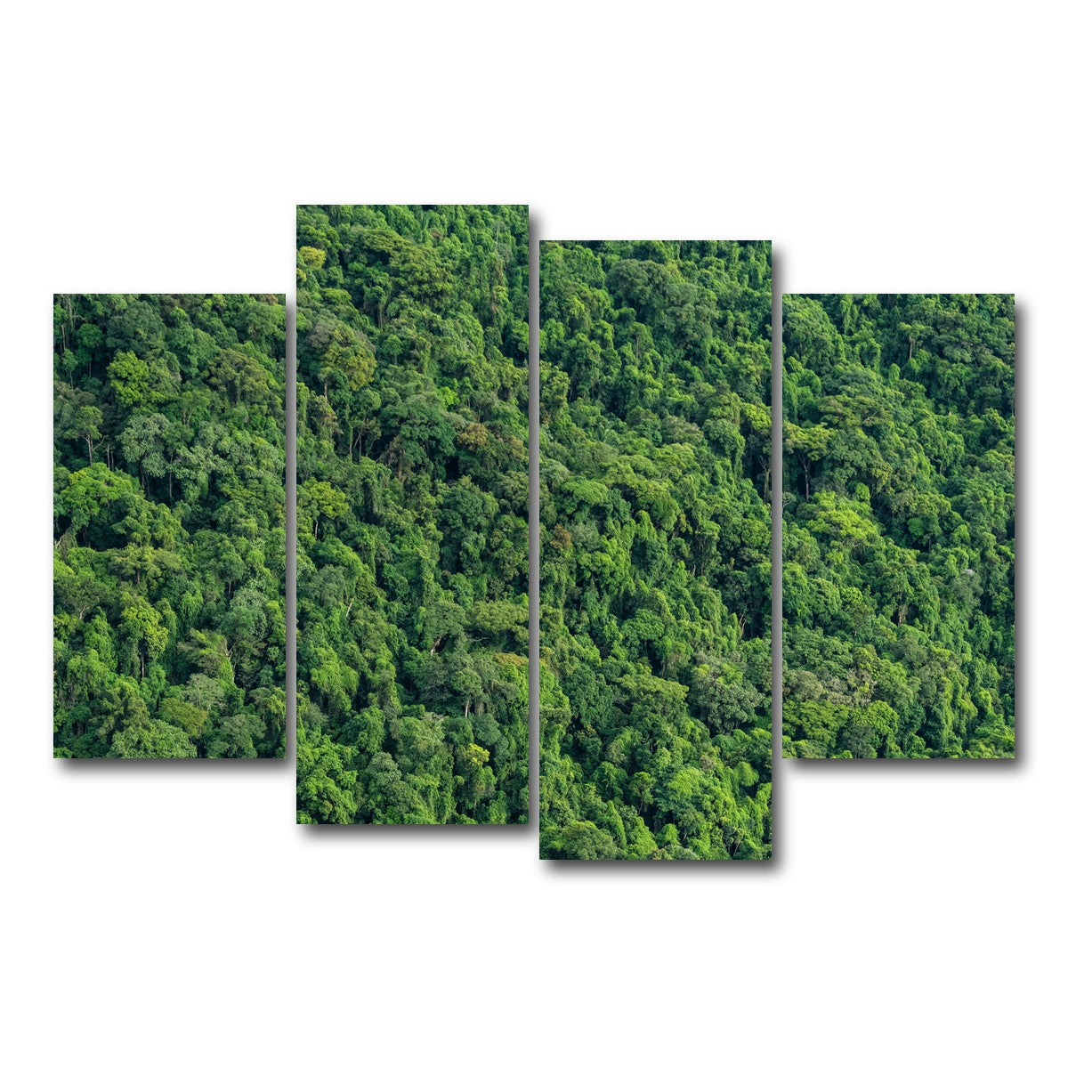 AUTO-MOCKUP WHITE | Atlantic Forest | 4 Piece | Gallery Wrap Canvas | group=4_short