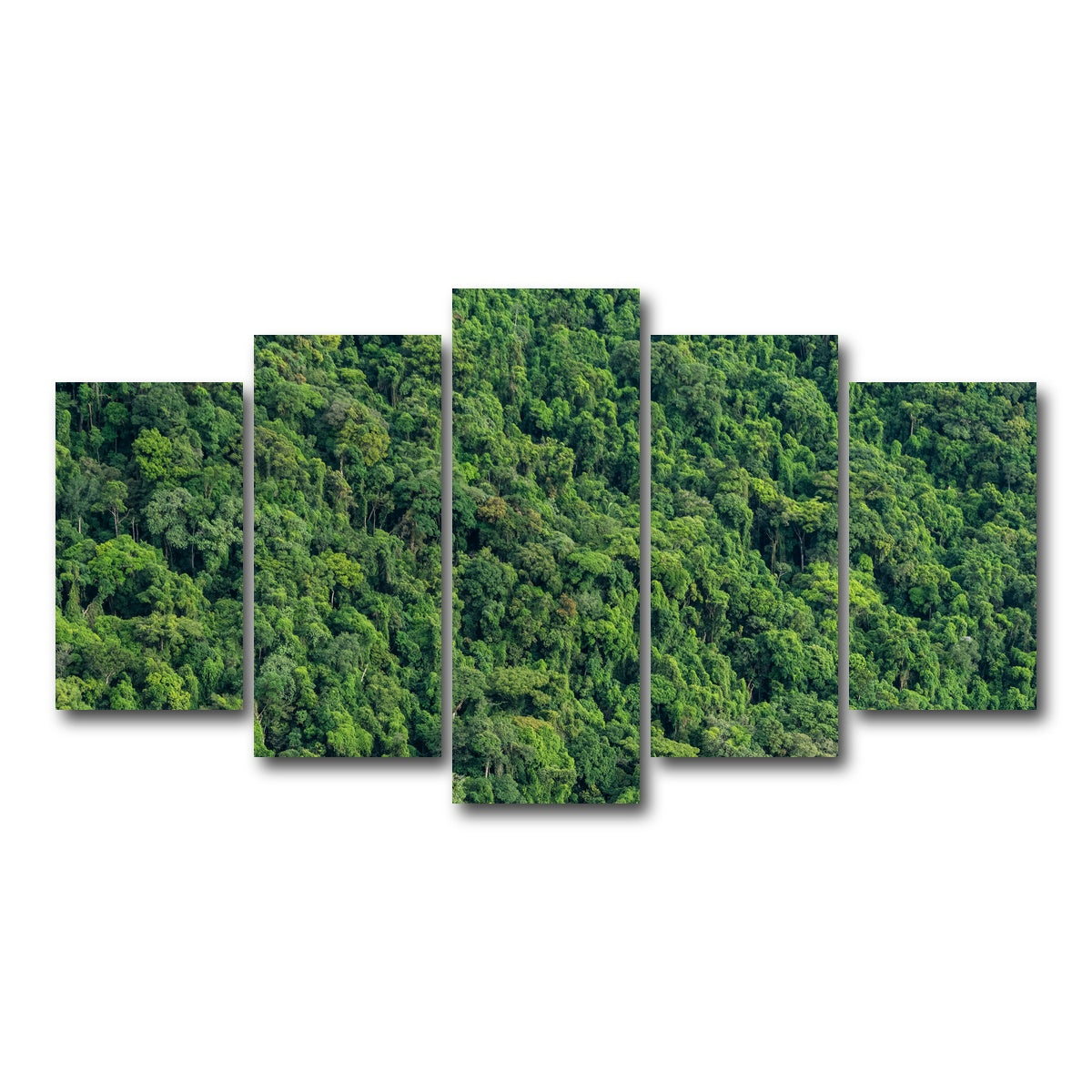 AUTO-MOCKUP WHITE | Atlantic Forest | 5 Piece | Gallery Wrap Canvas | group=5_normal