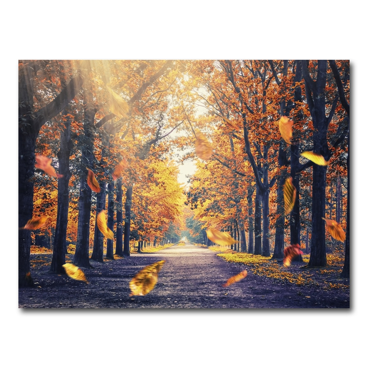 AUTO-MOCKUP WHITE | Autumn In Holland | 1 Piece | Gallery Wrap Canvas | group=4x3