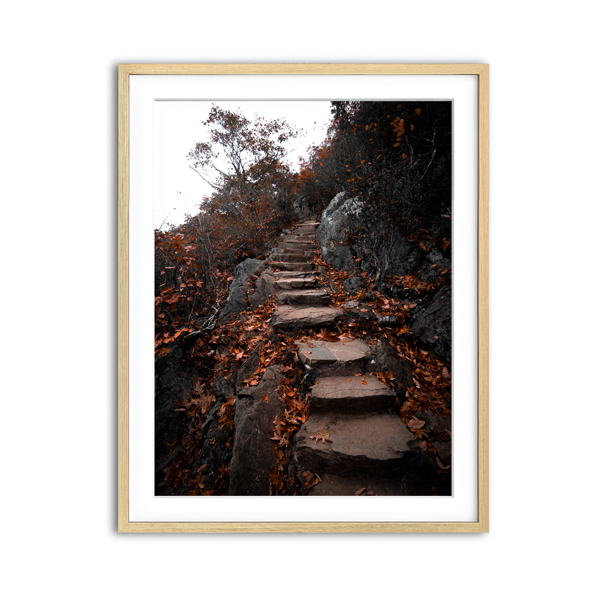 Framed Print 3x4 Natural
