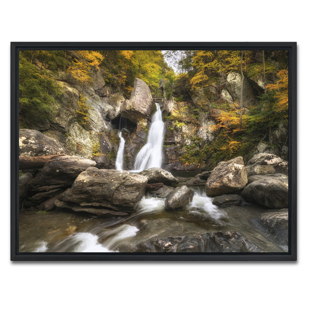 AUTO-MOCKUP WHITE | Autumn Treasure | 1 Piece | Black Framed Canvas | group=4x3