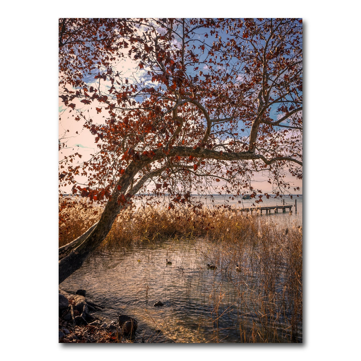 AUTO-MOCKUP WHITE | Autumn | 1 Piece | Gallery Wrap Canvas | group=3x4