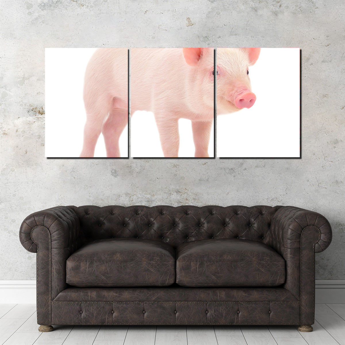 Baby Pig Wall Art