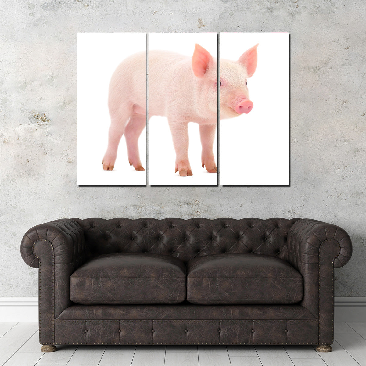 Baby Pig Wall Art