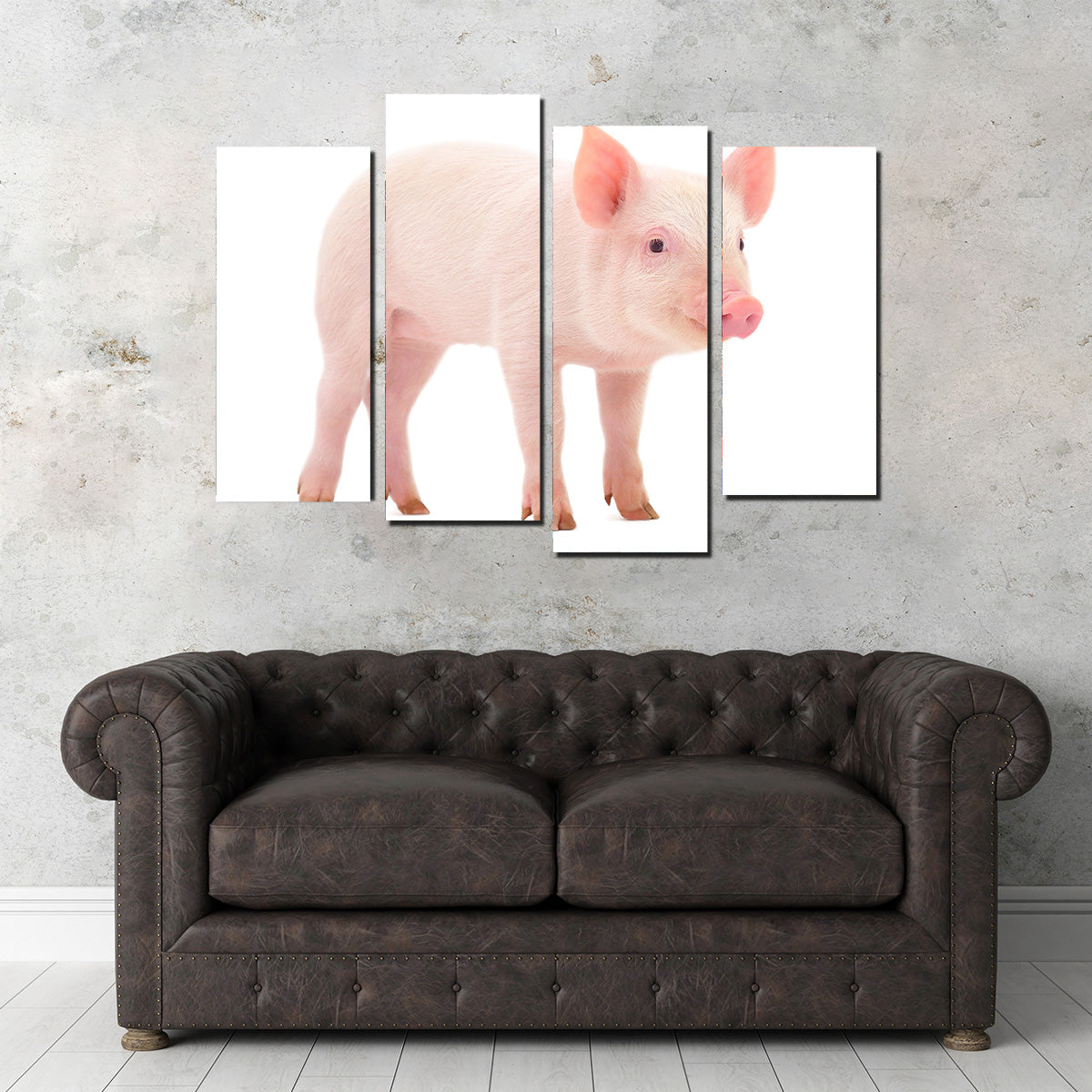 Baby Pig Wall Art