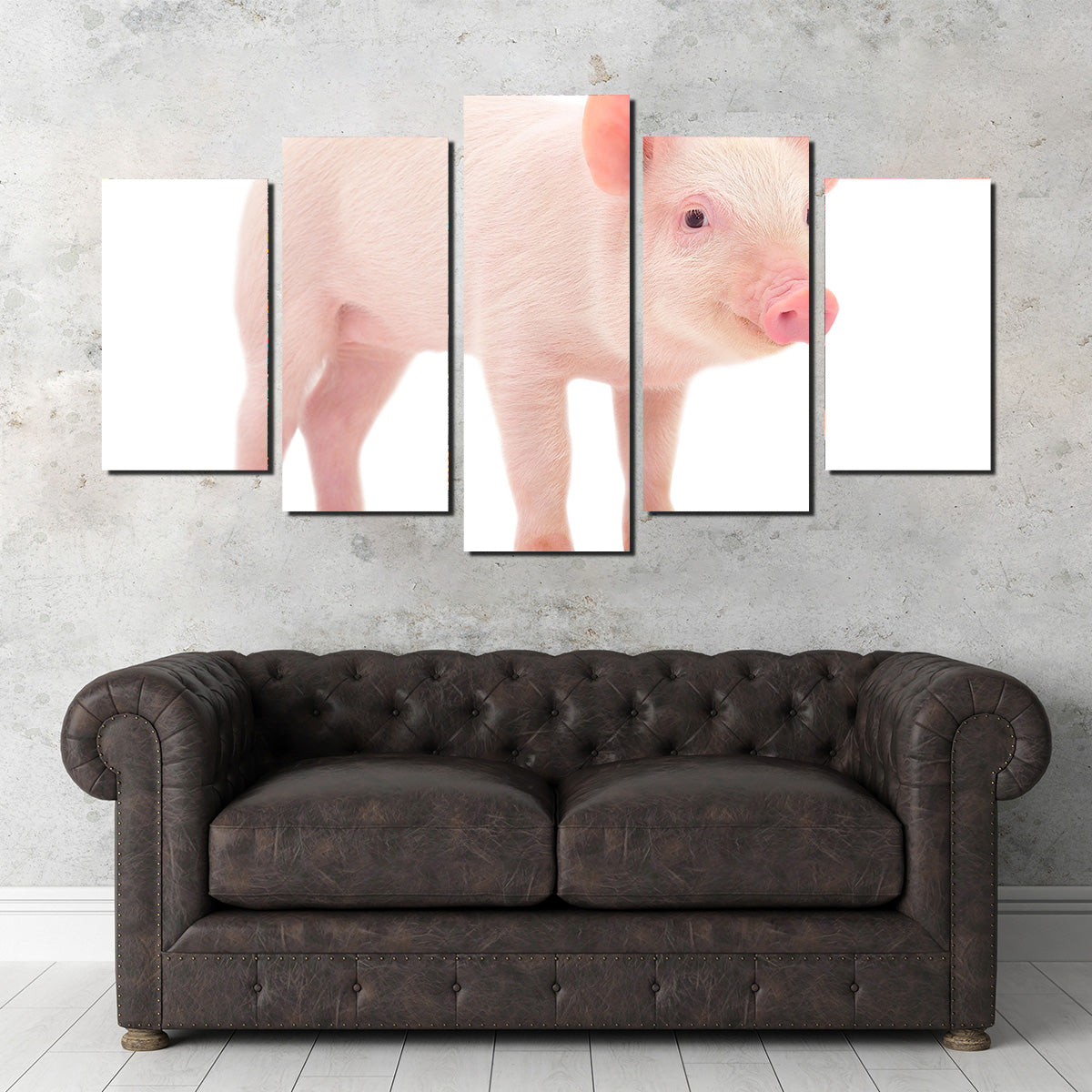Baby Pig Wall Art