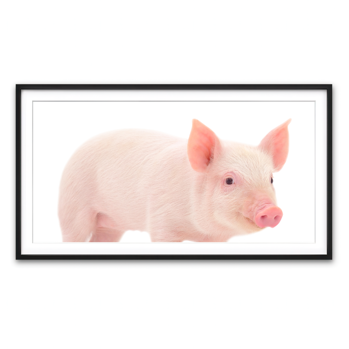 Framed Print 2x1 Black