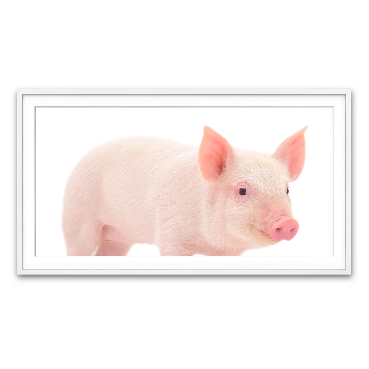 Framed Print 2x1 White