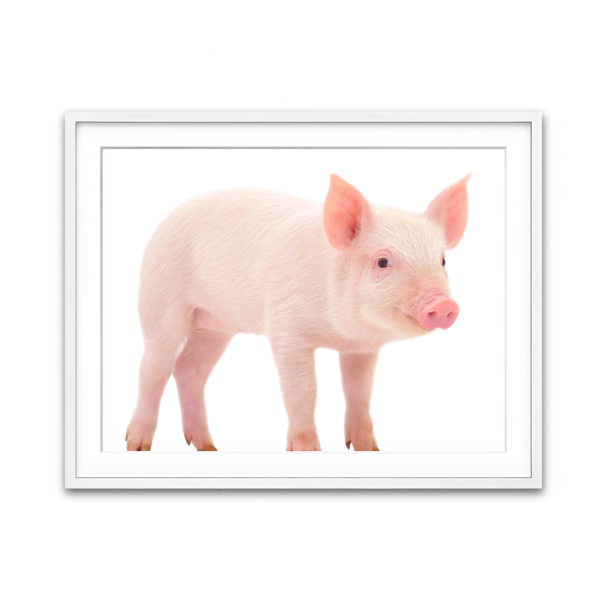 Framed Print 4x3 White