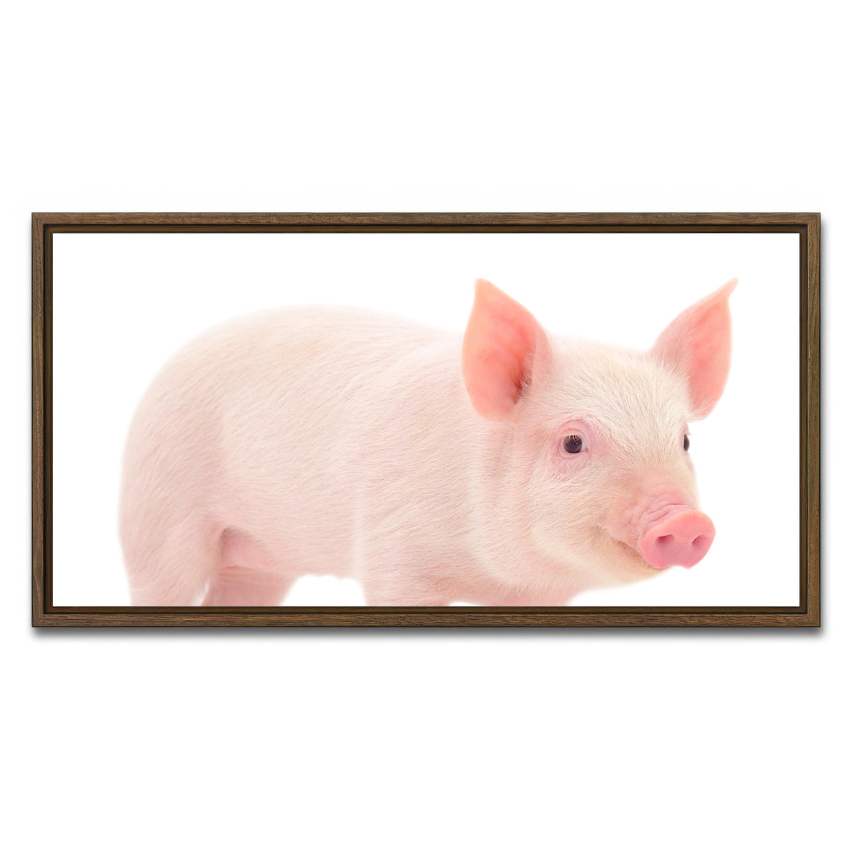 AUTO-MOCKUP WHITE | Baby Pig | 1 Piece | Walnut Framed Canvas | group=2x1