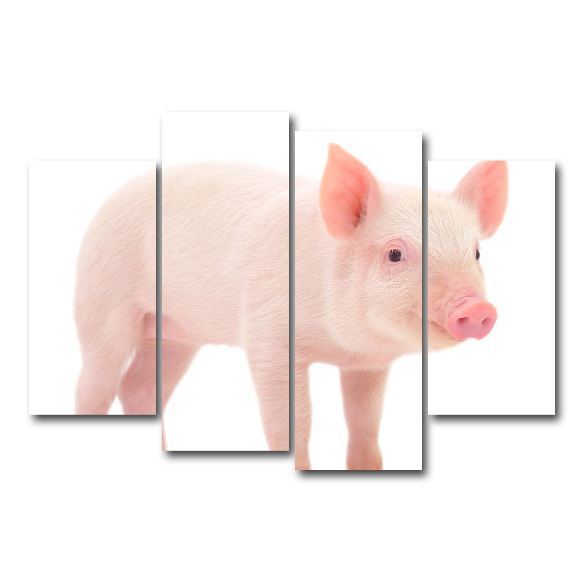 AUTO-MOCKUP WHITE | Baby Pig | 4 Piece | Gallery Wrap Canvas | group=4_short
