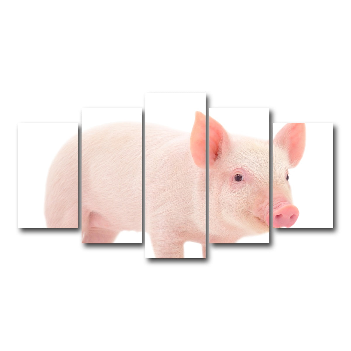 AUTO-MOCKUP WHITE | Baby Pig | 5 Piece | Gallery Wrap Canvas | group=5_normal