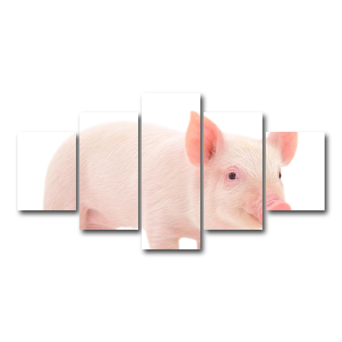 AUTO-MOCKUP WHITE | Baby Pig | 5 Piece | Gallery Wrap Canvas | group=5_short