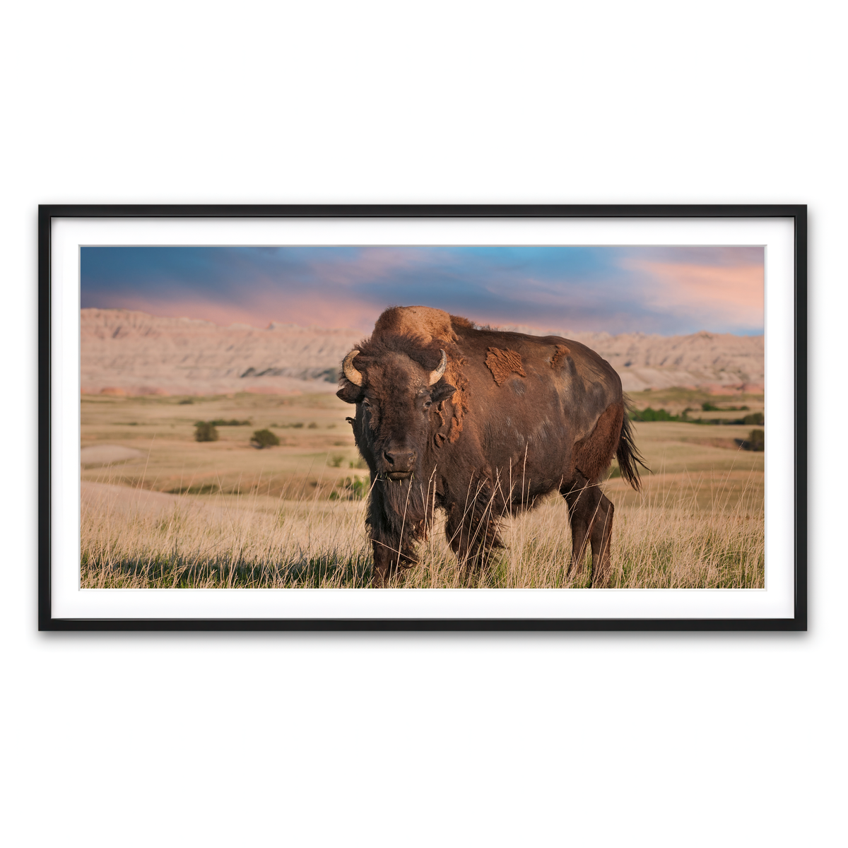 Framed Print 2x1 Black