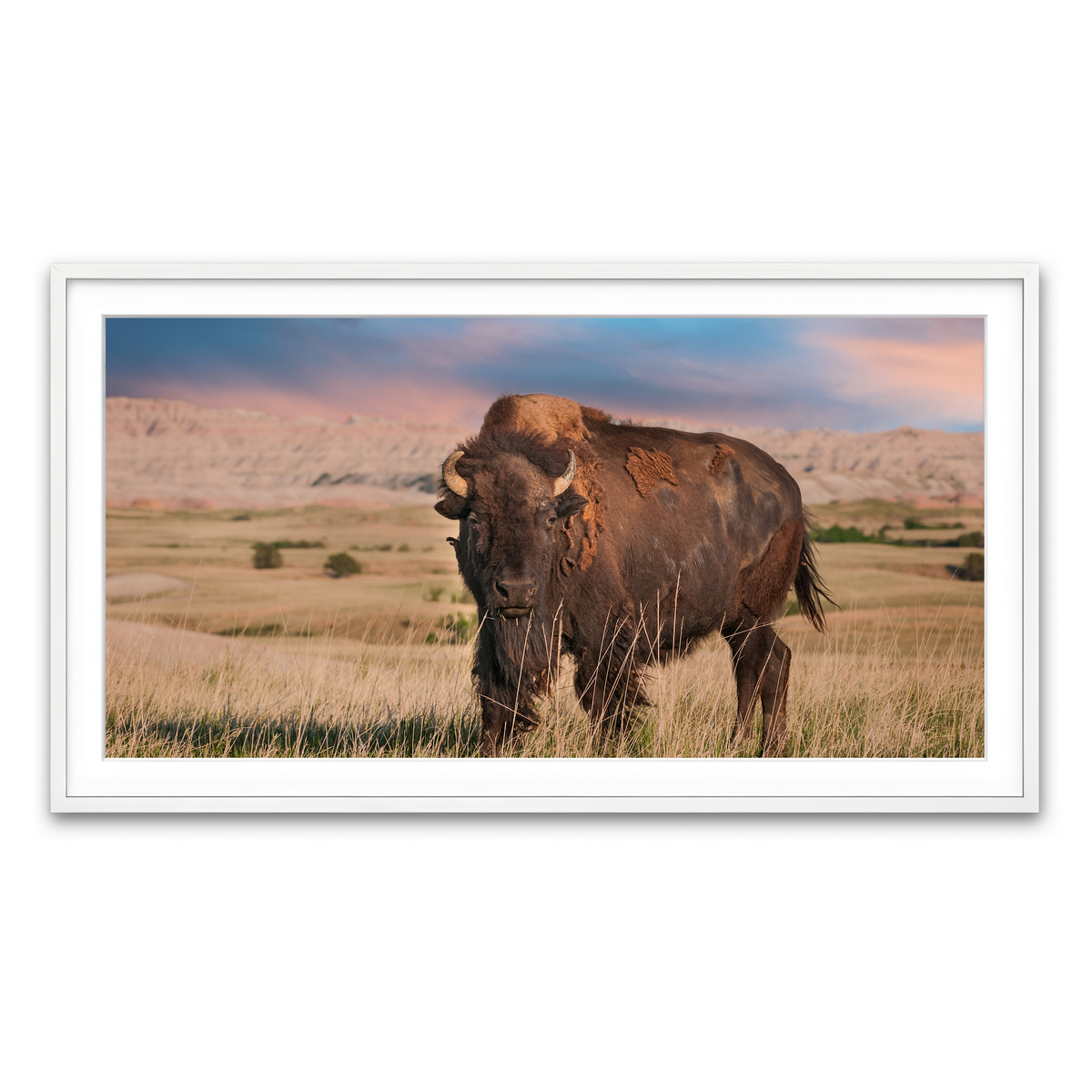 Framed Print 2x1 White