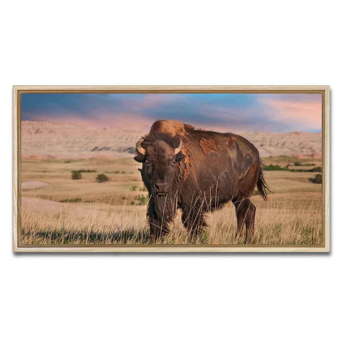 AUTO-MOCKUP WHITE | Badlands Bison Bull | 1 Piece | Natural Framed Canvas | group=2x1