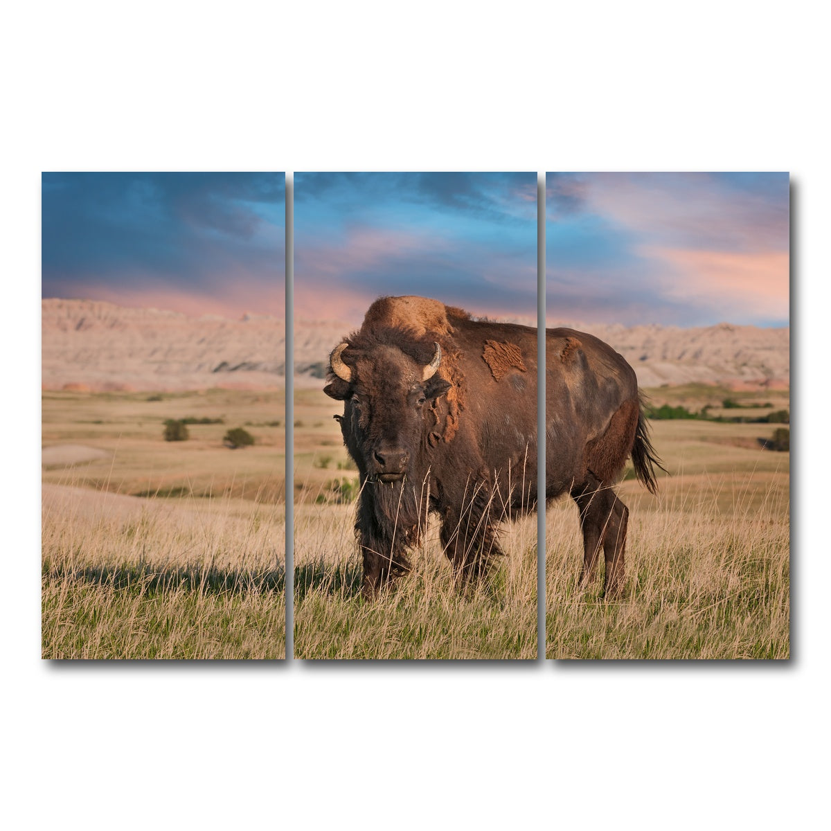 AUTO-MOCKUP WHITE | Badlands Bison Bull | 3 Piece | Gallery Wrap Canvas | group=12x24