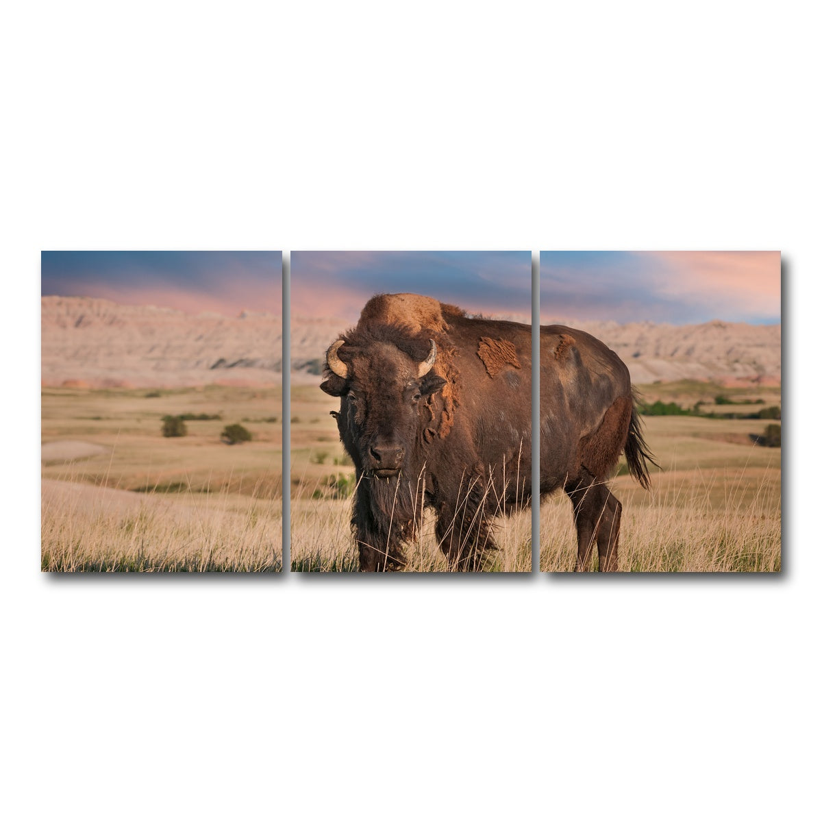 AUTO-MOCKUP WHITE | Badlands Bison Bull | 3 Piece | Gallery Wrap Canvas | group=18x24
