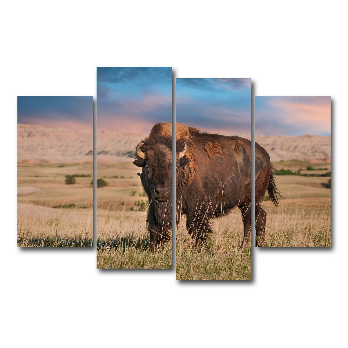 AUTO-MOCKUP WHITE | Badlands Bison Bull | 4 Piece | Gallery Wrap Canvas | group=4_short