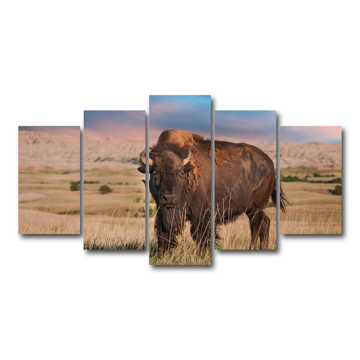 AUTO-MOCKUP WHITE | Badlands Bison Bull | 5 Piece | Gallery Wrap Canvas | group=5_normal