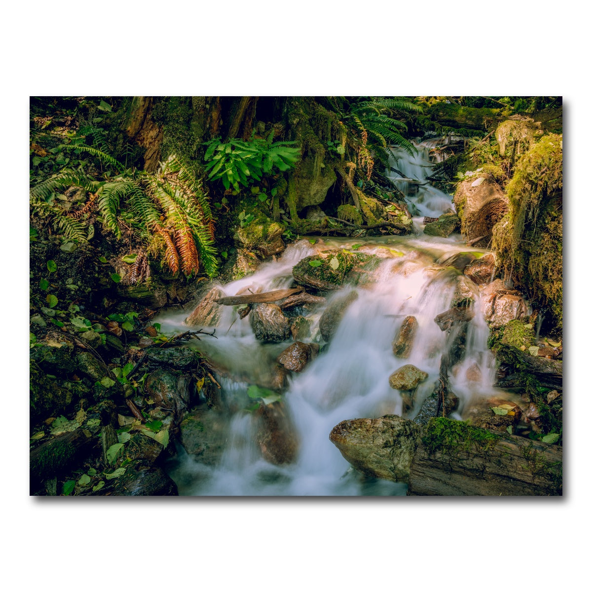 AUTO-MOCKUP WHITE | Baker Waterfall | 1 Piece | Gallery Wrap Canvas | group=4x3