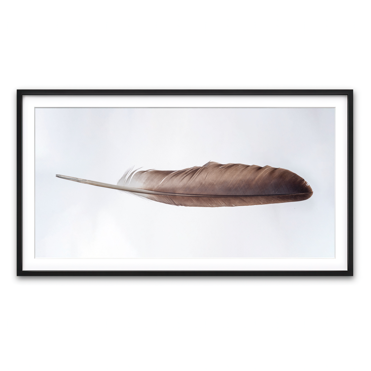 Framed Print 2x1 Black