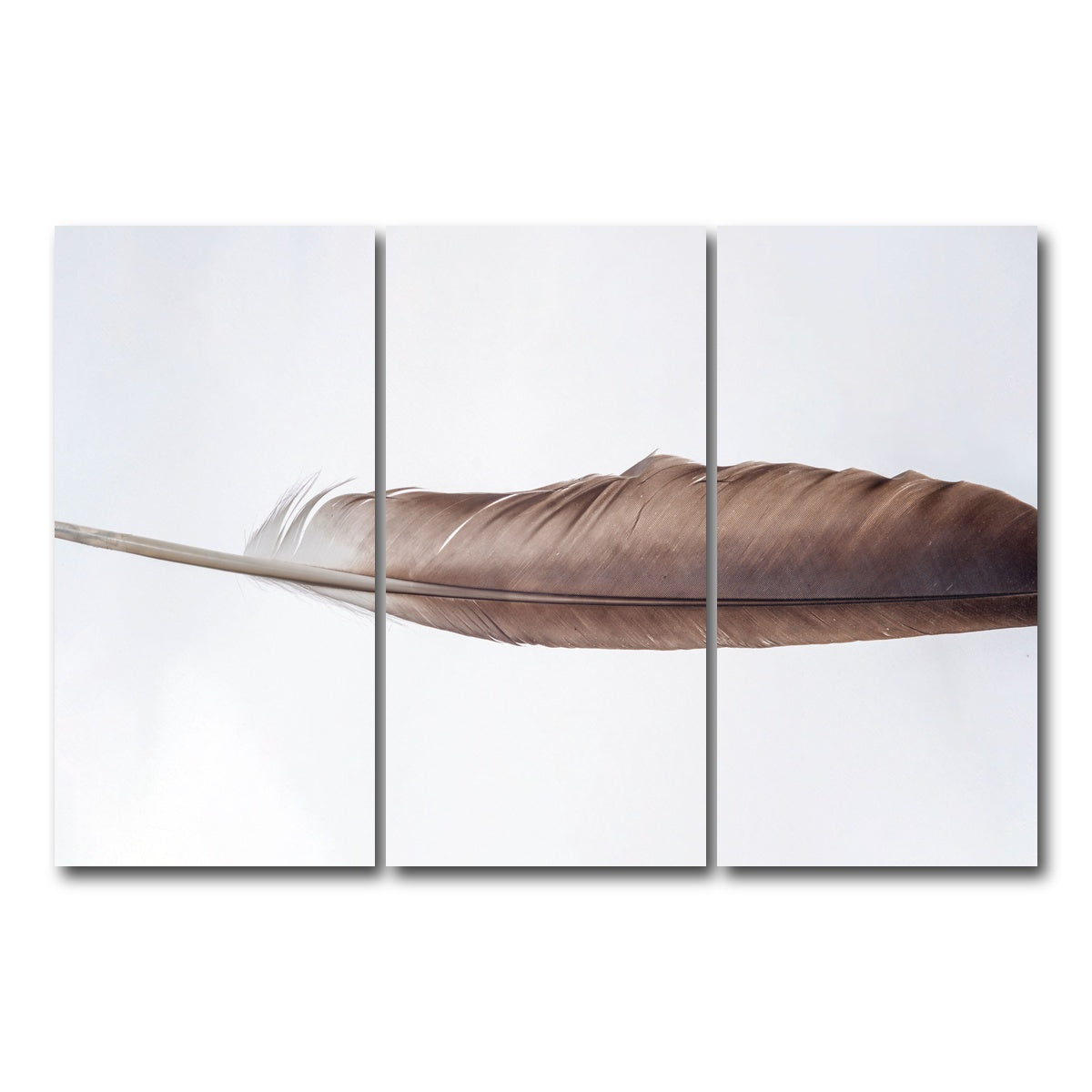 AUTO-MOCKUP WHITE | Bald Eagle Feather | 3 Piece | Gallery Wrap Canvas | group=12x24