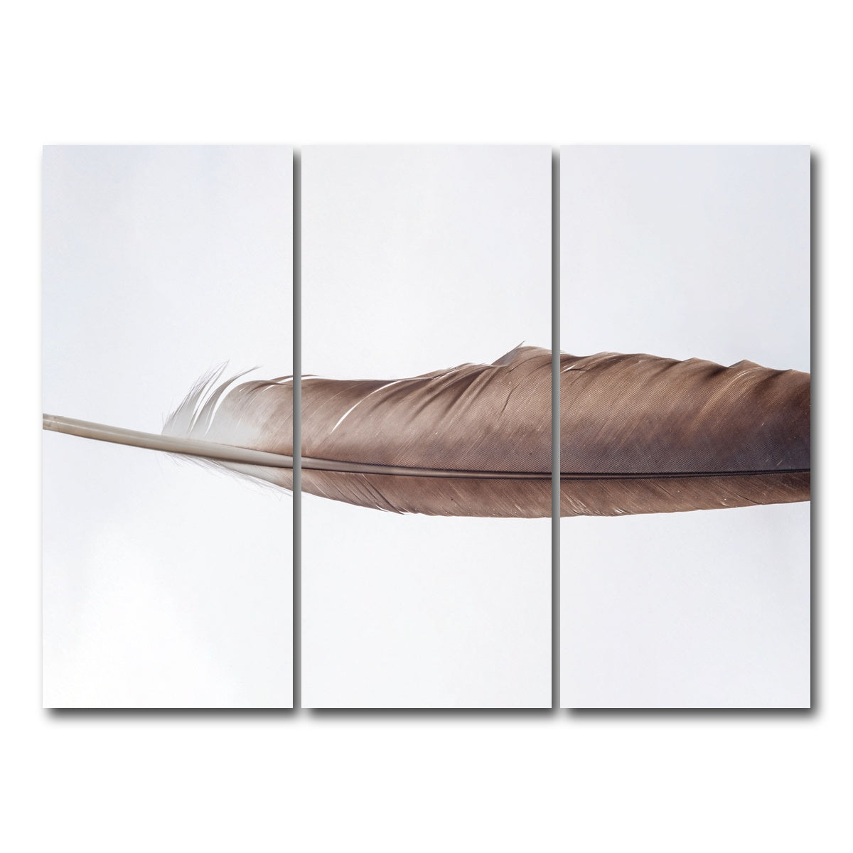 AUTO-MOCKUP WHITE | Bald Eagle Feather | 3 Piece | Gallery Wrap Canvas | group=8x18