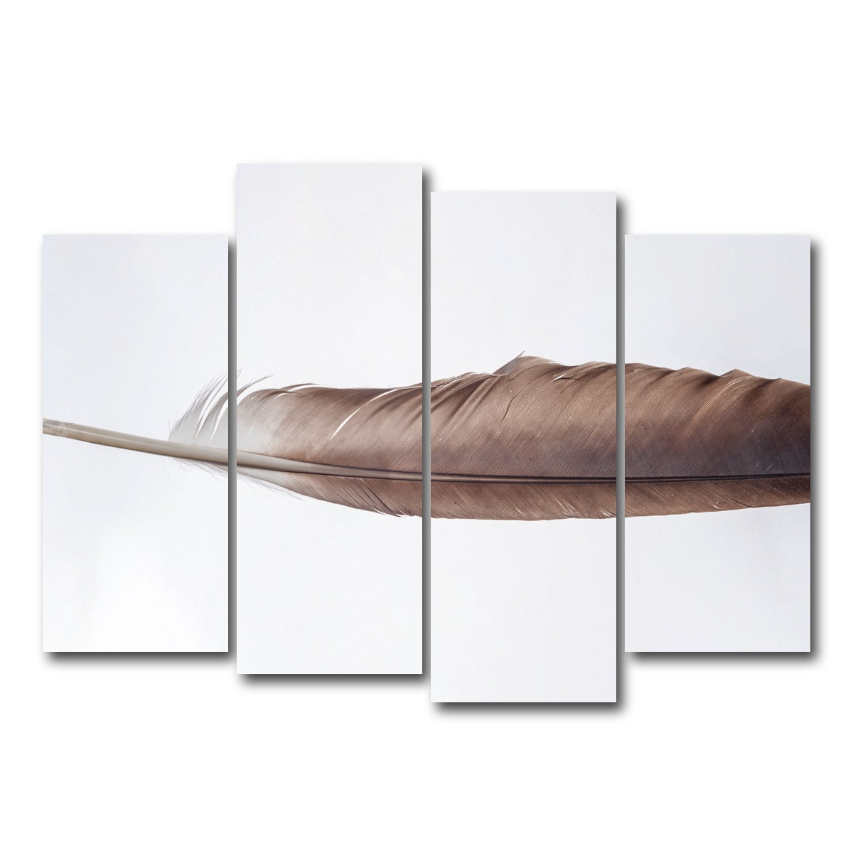 AUTO-MOCKUP WHITE | Bald Eagle Feather | 4 Piece | Gallery Wrap Canvas | group=4_normal