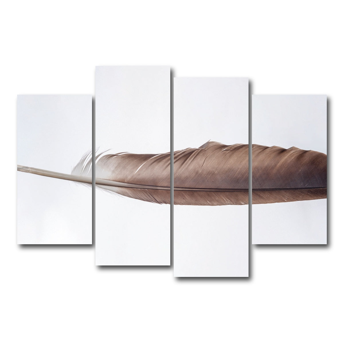 AUTO-MOCKUP WHITE | Bald Eagle Feather | 4 Piece | Gallery Wrap Canvas | group=4_short