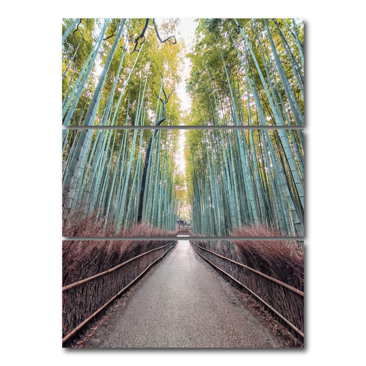 AUTO-MOCKUP WHITE | Bamboo Alley | 3 Piece | Gallery Wrap Canvas | group=8x18_stacked